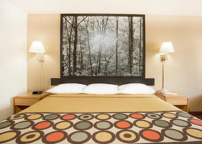 Top Downtown Lexington Accommodations for Visitors